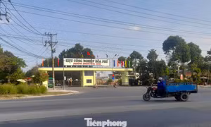 Vĩnh Long mời gọi đầu tư dự án nhà ở xã hội gần 550 tỷ đồng