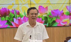Cần Thơ thành lập 2 ban quản lý dự án