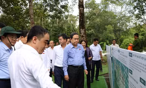 Chủ tịch Quốc hội khảo sát khu bảo tồn Lung Ngọc Hoàng