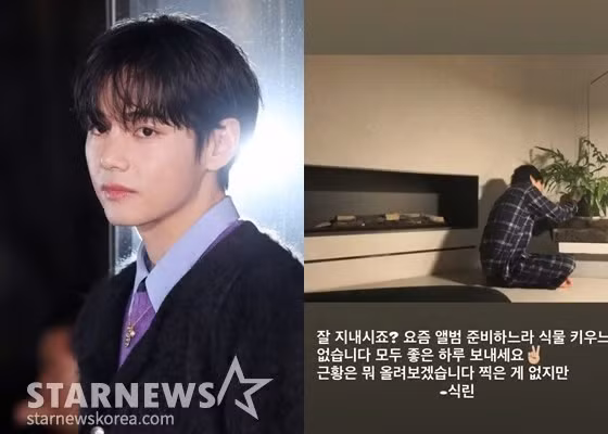 vbts.jpg