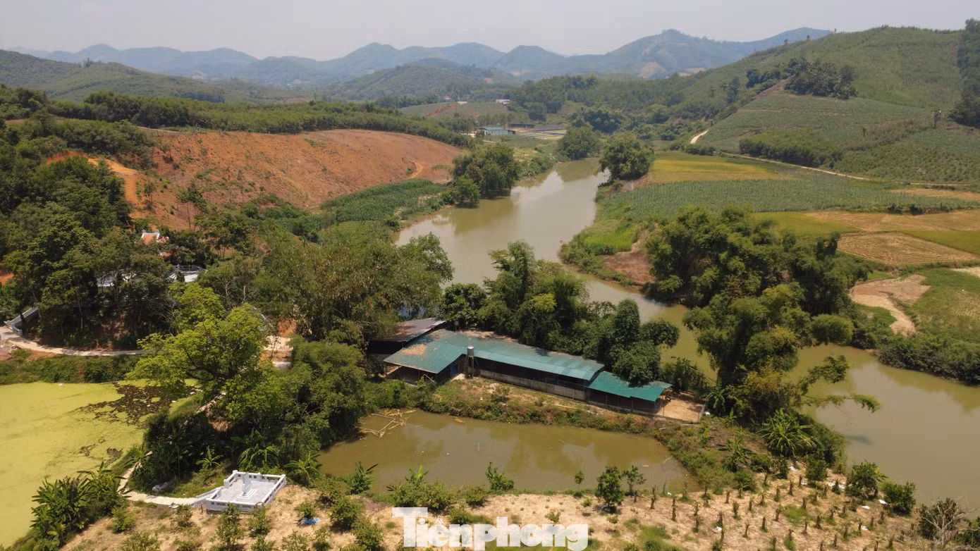 tp-c_trang-trai-tuyen-quang.jpg