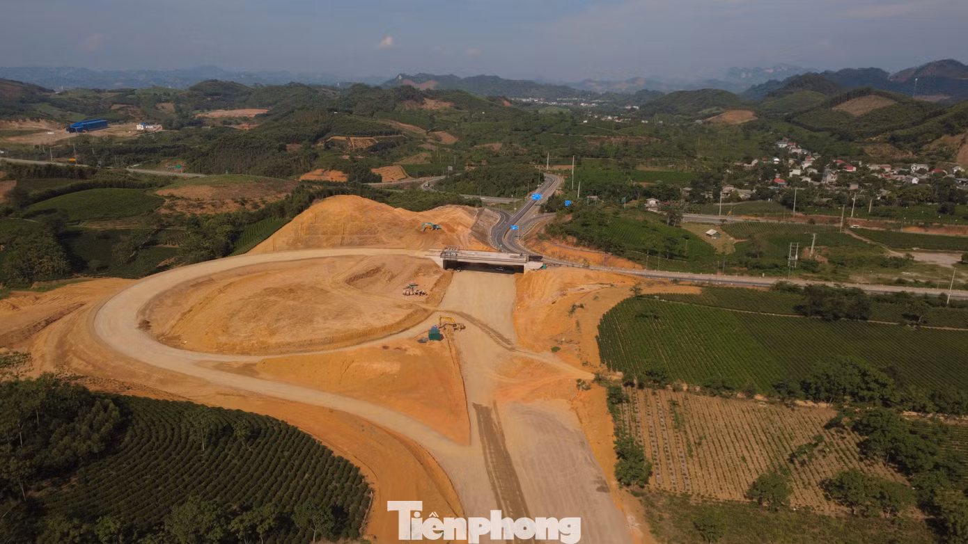 tp-c_dji-0851.jpg