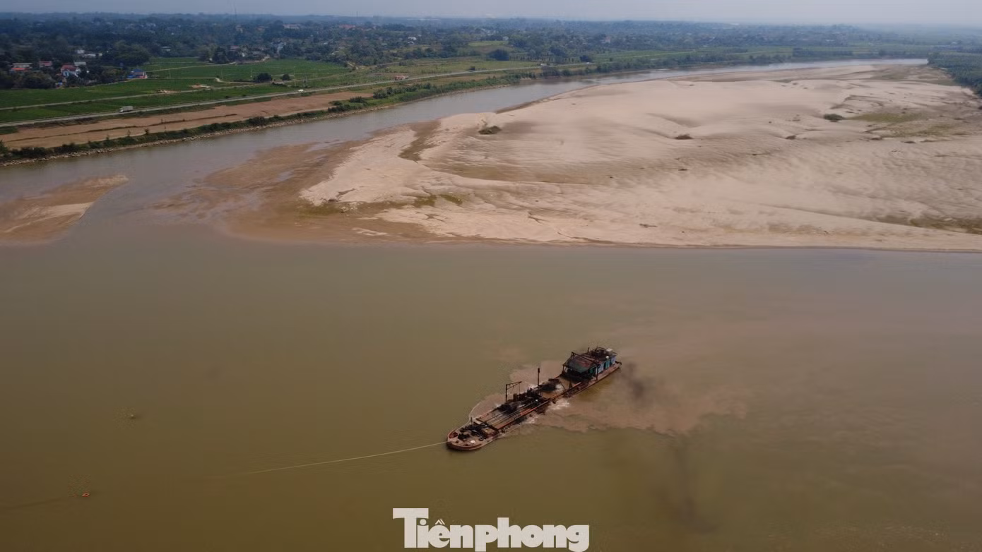 tp-c_dji-0040.jpg