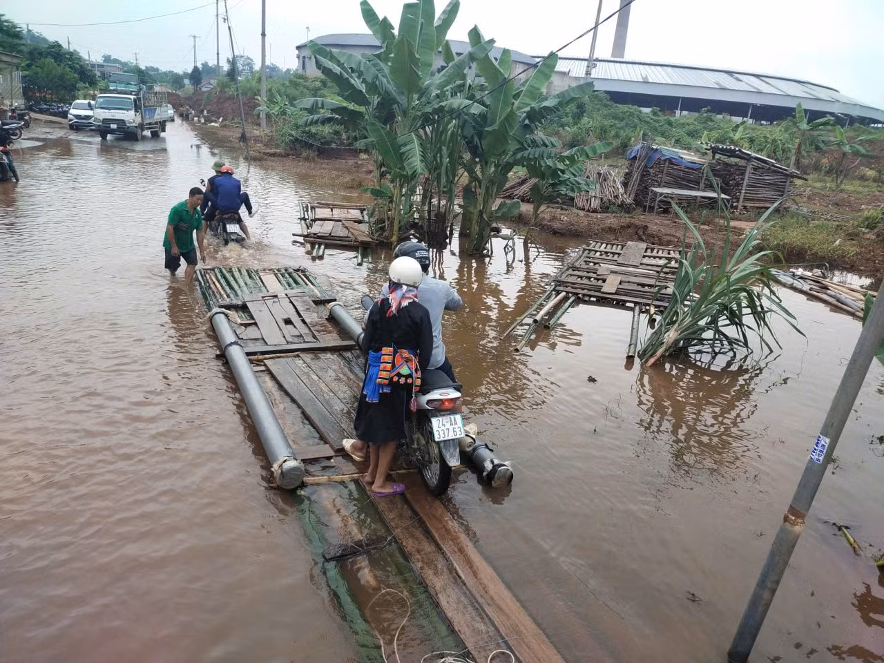 bemang3.jpg