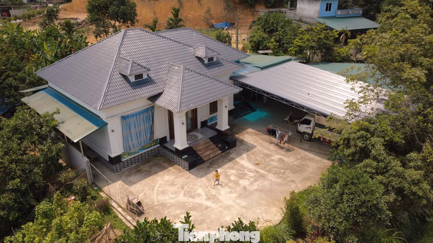 tp-c_dji-0899.jpg