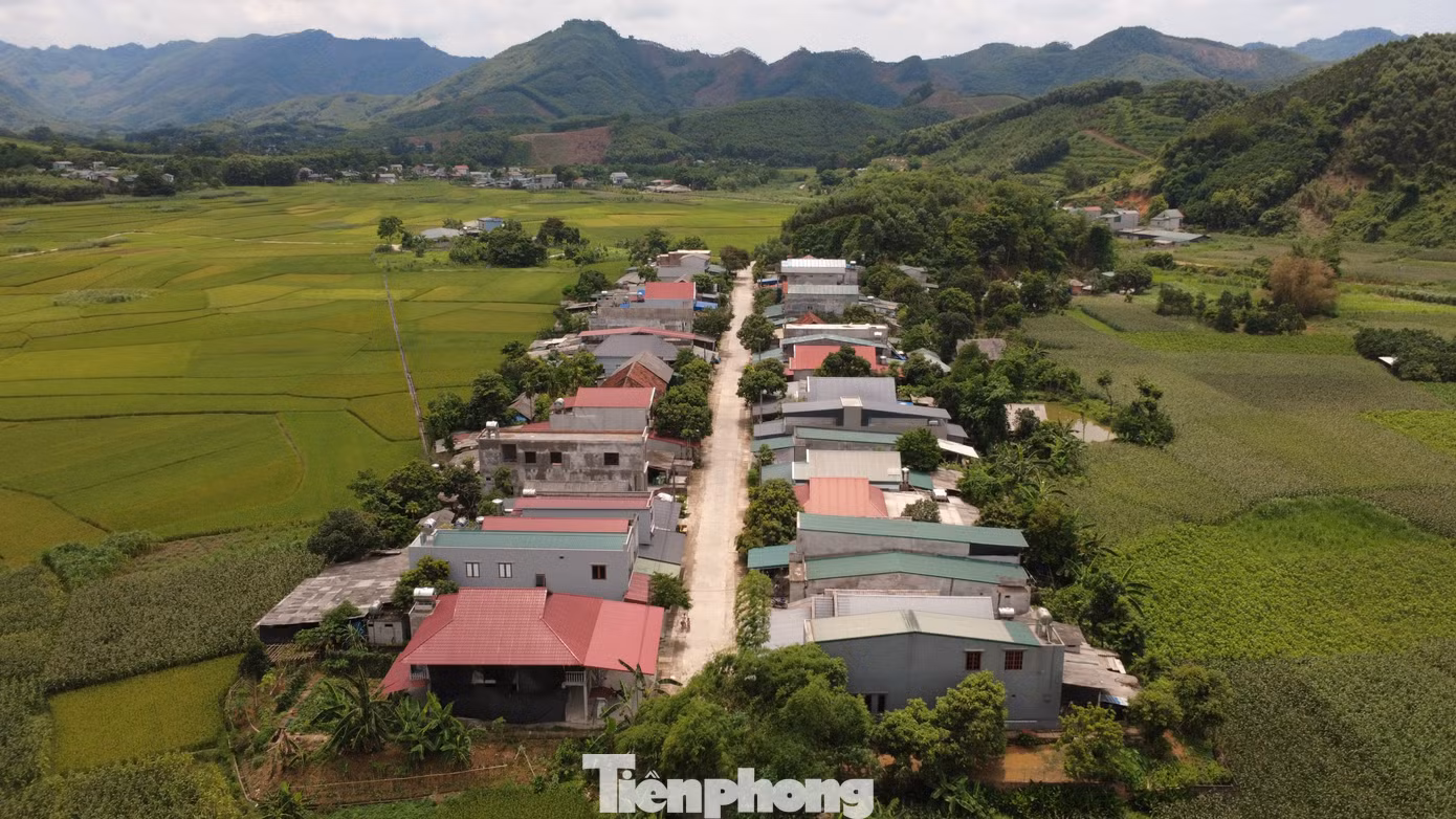 tp-c_dji-0903.jpg