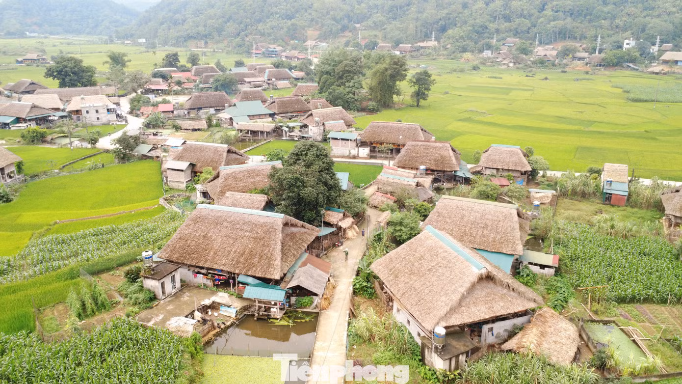 tp-c_dji-0815.jpg