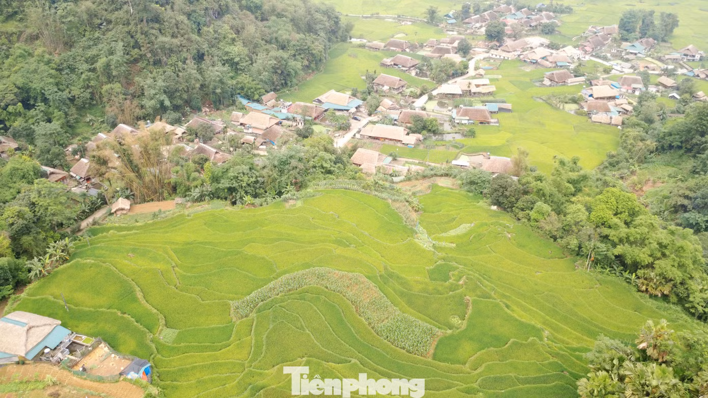 tp-c_dji-0819.jpg