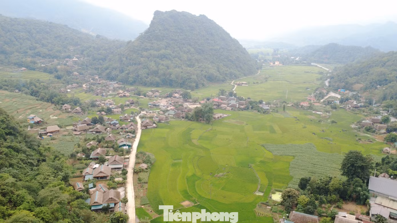 tp-c_dji-0811.jpg