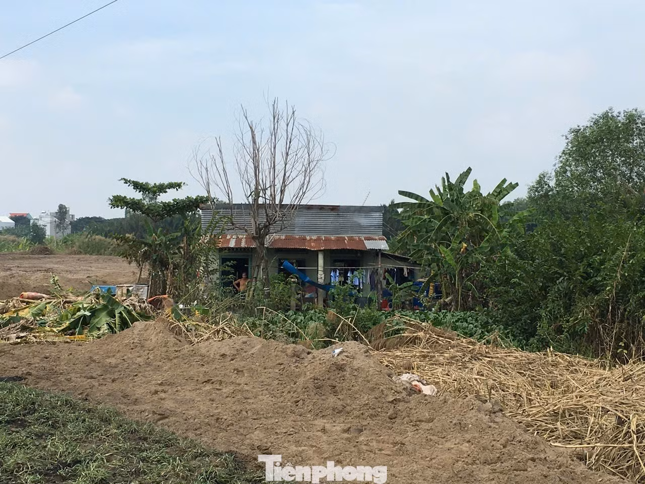 tp-3.jpg