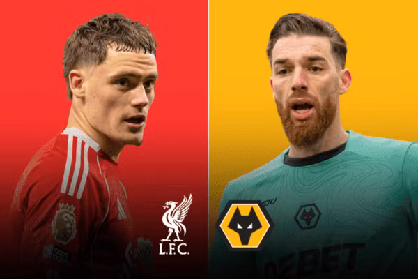 lfc-home-11-600x400.png