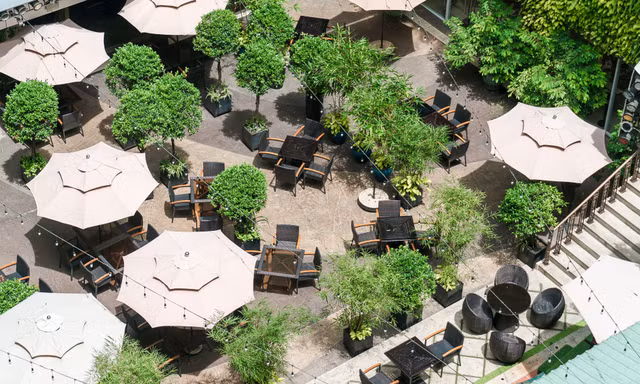 Matcha Vibe – Xu hướng thưởng thức mới giữa không gian xanh của Rex Hotel Saigon