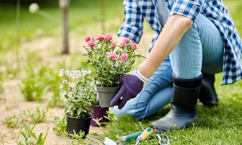 Giới trẻ sống chậm, đọc sách giấy, viết nhật ký trong thời đại công nghệ số