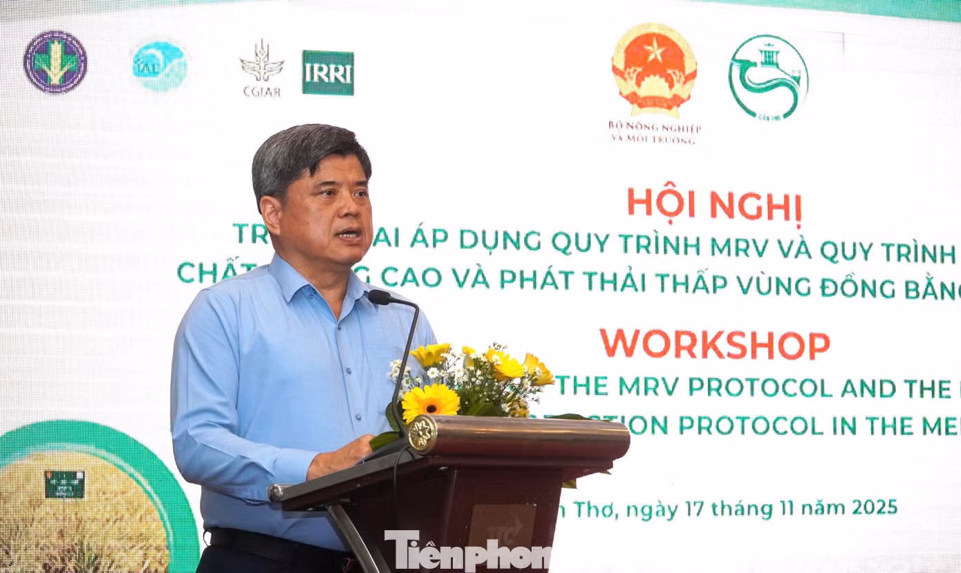 tp-nam.jpg