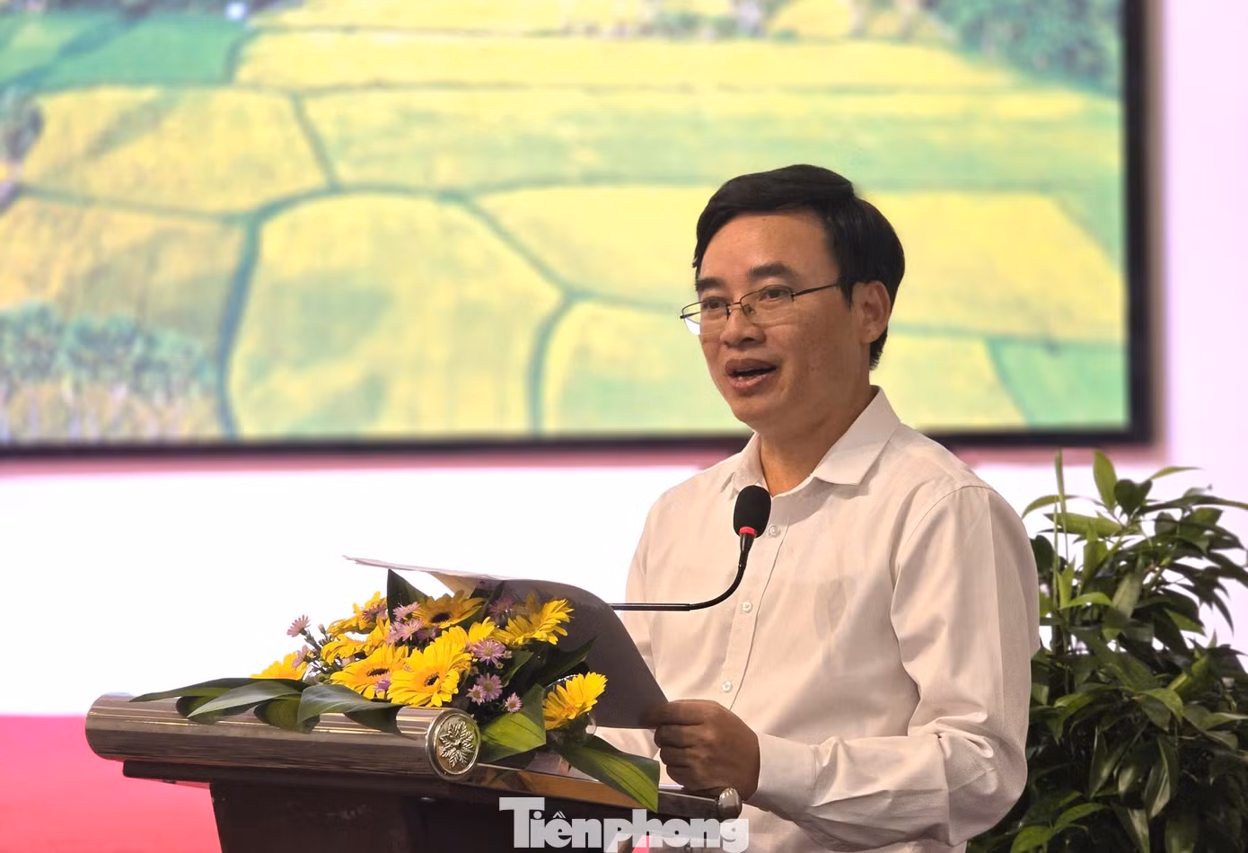 tp-manh.jpg