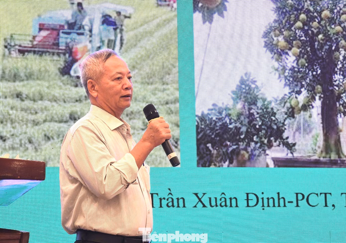tp-dinh.jpg