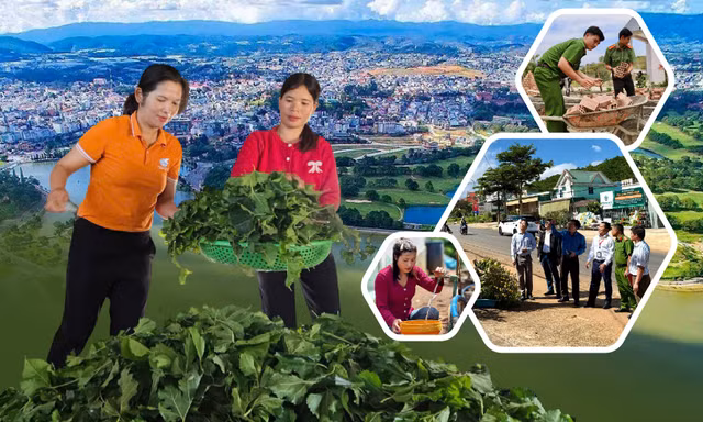 Lâm Đồng nỗ lực xóa đói giảm nghèo bền vững