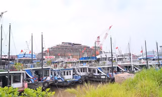 Quảng Ninh tạm dừng cấp phép tàu du lịch hoạt động trên vịnh Hạ Long