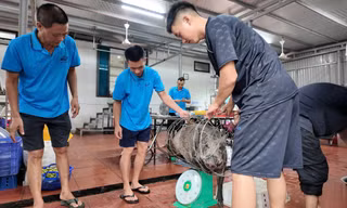 Chủ khách sạn ở Cô Tô mổ lợn rừng đãi gần 50 du khách mắc kẹt vì bão