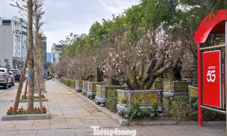 Vỉa hè và chốt thu phí xe ở Quảng Ninh được 'giải phóng' sau bài viết trên Báo Tiền Phong