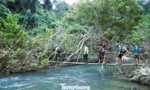 Những người giữ 'trái tim xanh' Pù Huống giữa đại ngàn hiểm trở