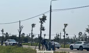 Đất nông thôn vùng quê bất ngờ 'sốt', ô tô đổ về kín đường