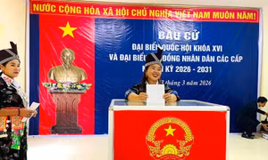 Cử tri 55 khu vực miền núi, biên giới ở Nghệ An đi bỏ phiếu bầu cử sớm