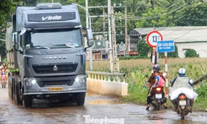 Cầu có tải trọng 13 tấn nhưng phải 'gánh' dàn xe chở đất nặng gấp nhiều lần