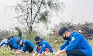 Thanh niên trồng cây khôi phục hệ sinh thái sau bão, lắp đặt hệ thống đường điện