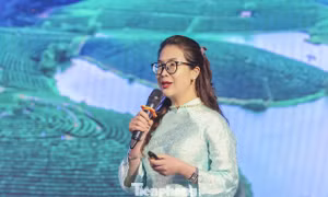 Để Nghệ An thành trung tâm du lịch Bắc Trung bộ 