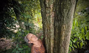 Bà Nguyễn Thị Đào bên gốc cây cổ thụ trong khu rừng mà dòng họ gìn giữ, bảo vệ.