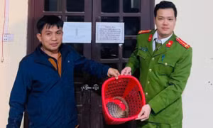 Phát hiện động vật quý hiếm trong Sách đỏ tại... chợ ở Hà Tĩnh