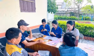 Thanh niên tích cực tham gia chiến dịch '90 ngày làm sạch dữ liệu đất đai'
