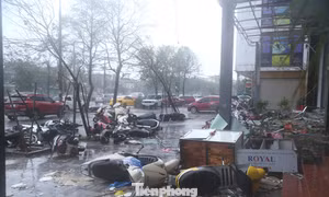 Nghệ An tan hoang sau bão