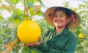 Nghệ An về đích sớm nhiều mục tiêu giảm nghèo bền vững