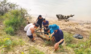 Nghệ An: Nước sông Lam cạn, lộ quả bom còn nguyên kíp nổ
