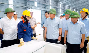 Các mũi nhọn trong xuất khẩu tại Nghệ An