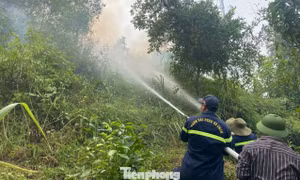 Cháy rừng kéo sang ngày thứ hai, Nghệ An dốc toàn lực khống chế 'giặc lửa'