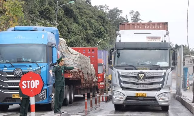 Tạm ngưng hiệu lực Nghị định số 46: Lộ khoảng trống điều khoản chuyển tiếp