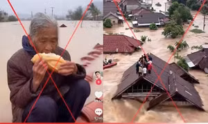 Ma trận tin giả lũ lụt