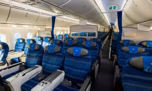 Rắn bò trên khoang khách máy bay Tui 