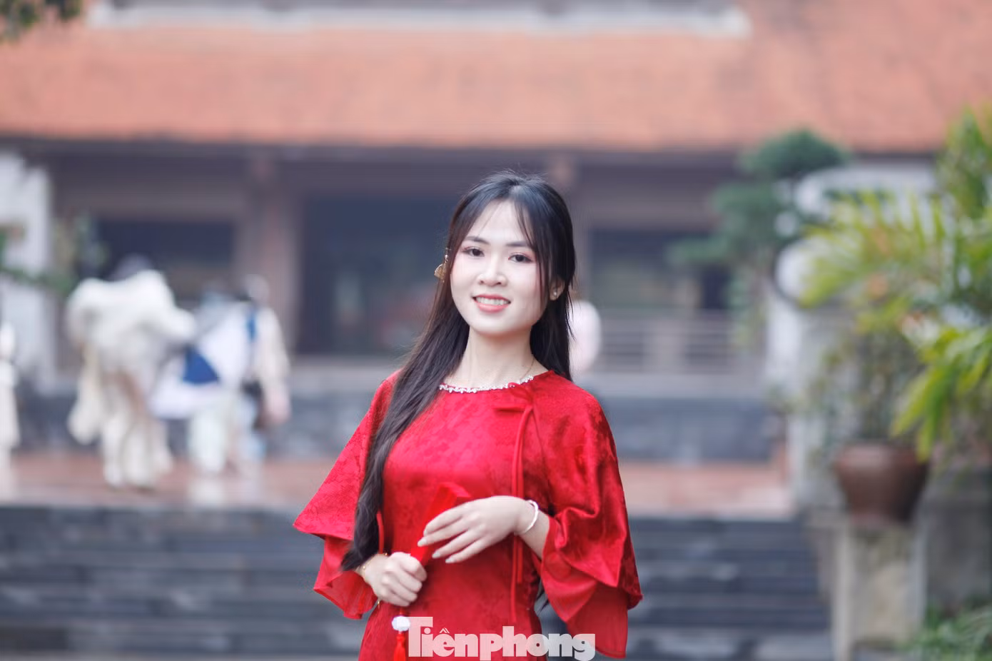 tp-t2.jpg