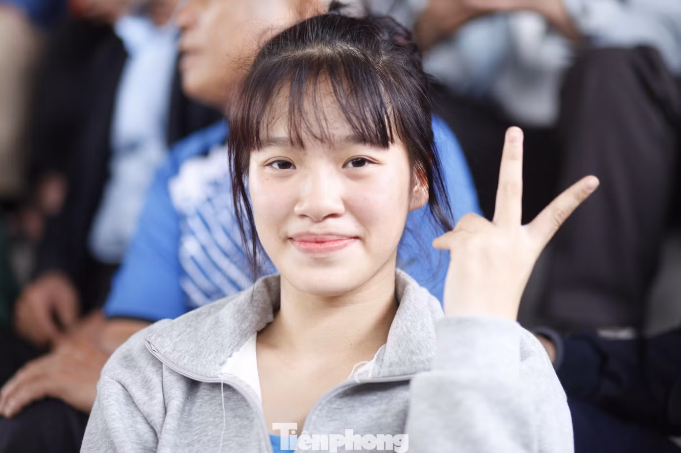 tp-v15.jpg