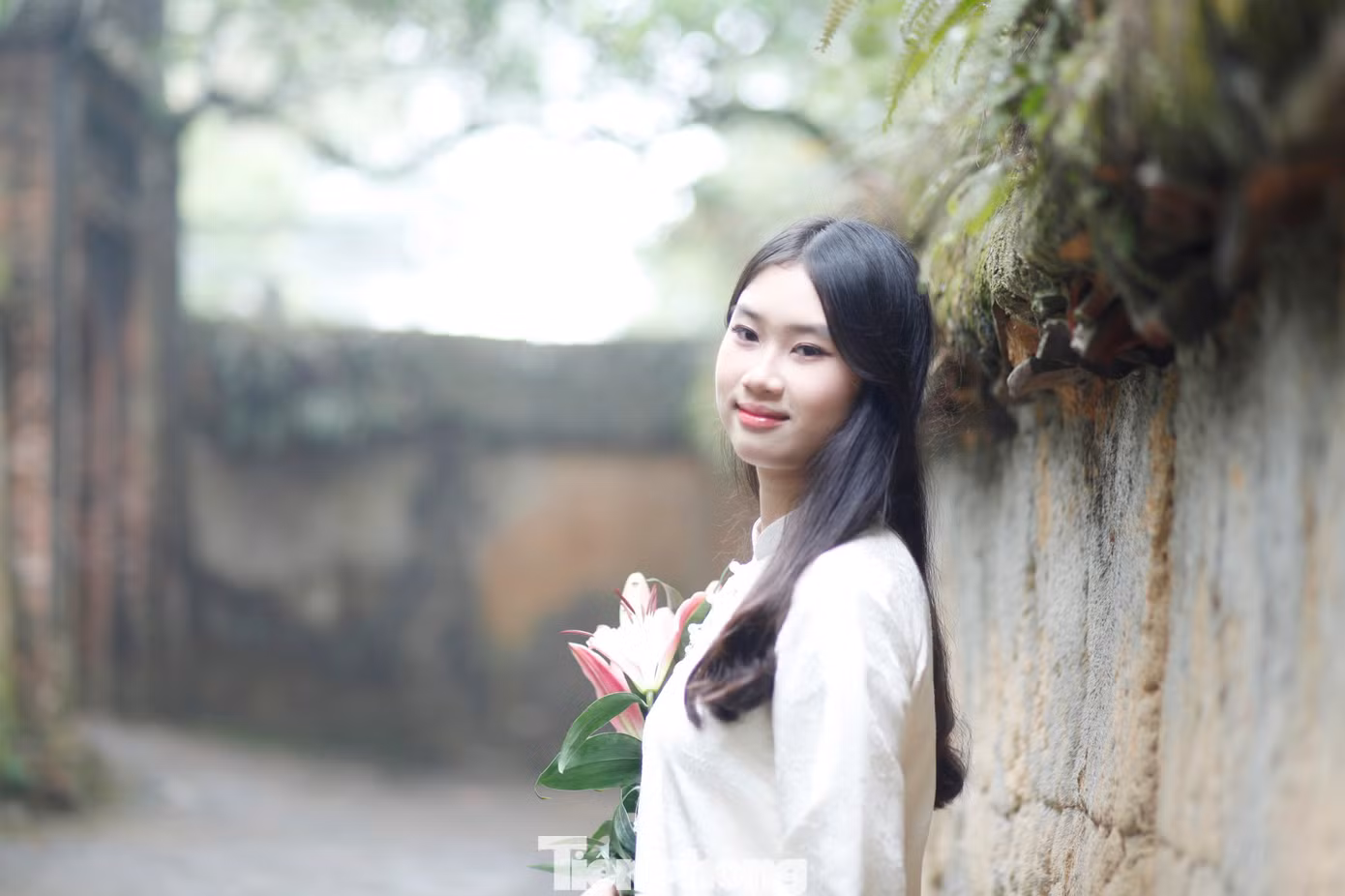 tp-t5.jpg