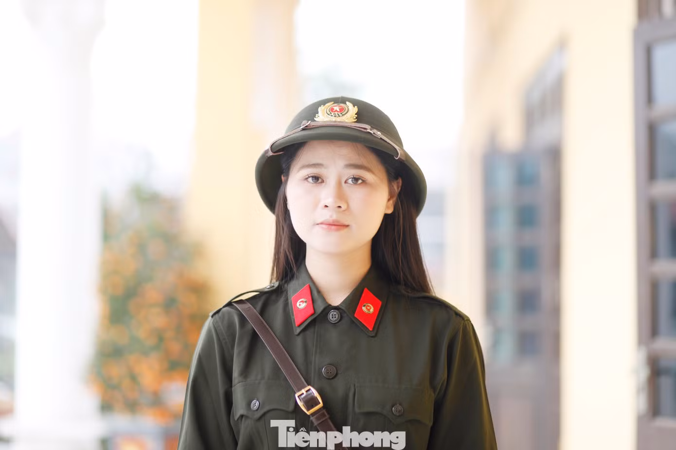 tp-t6.jpg