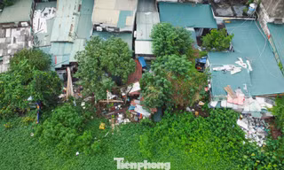 Hồ Rẻ Quạt bị 'bức tử' sau hơn 10 năm chờ cải tạo
