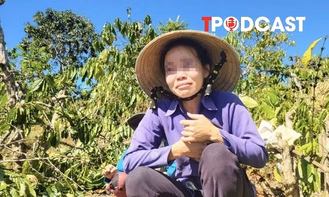 NÓNG 19/9: Diễn biến bất ngờ vụ anh rể phá hoại vườn cây của em vợ vì 'mâu thuẫn tình cảm'