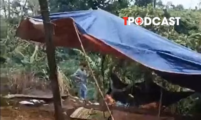 NÓNG 14/8: Xác định nghi phạm vụ nữ nhân viên trường học tử vong tại rẫy cà phê