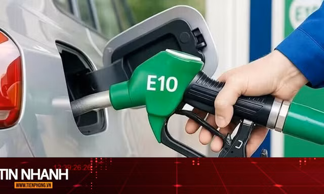 TIN NHANH: Các hãng xe công bố dòng xe tương thích và không tương thích với xăng E10