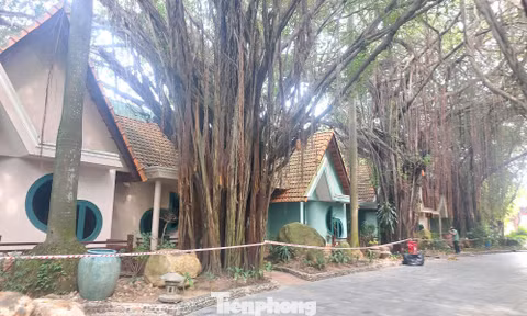 Cận cảnh hàng chục căn villa khu resort ở TPHCM bị phong tỏa vì nứt tường, sập trần